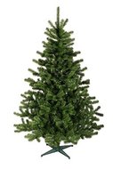 Kerstbomen tot 3 meter