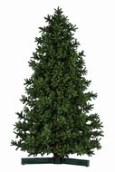 Kerstbomen vanaf 3 meter