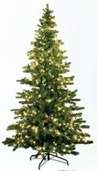 Kerstboom met verlichting