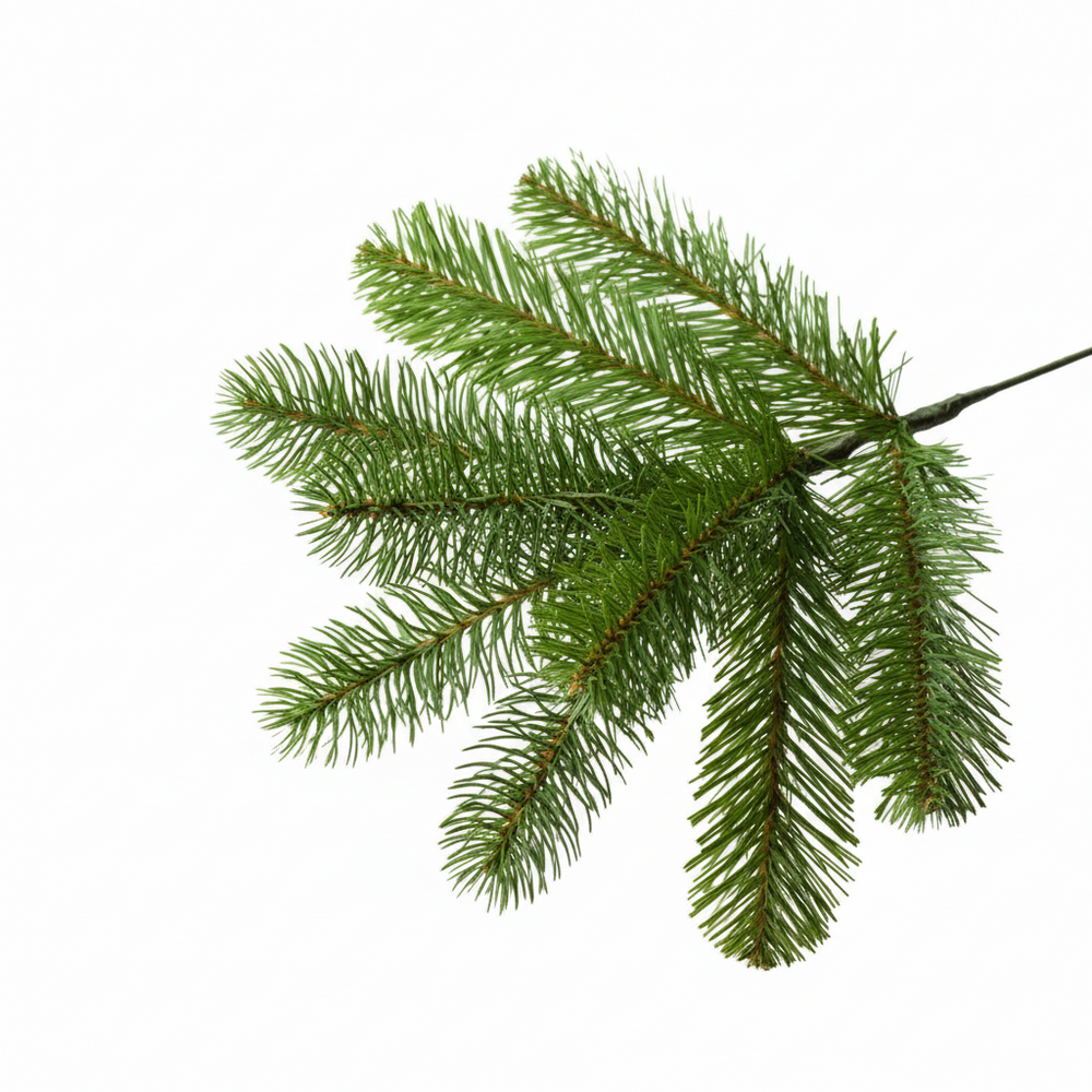 National Tree Company Bayberry - Kunstkerstboom - 213 cm - Leds - mix PE en PVC