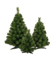 Greenhaven winter collection Vancouver - Kunstkerstboom - 80 cm