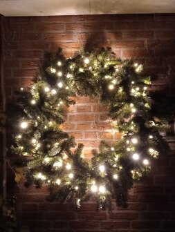 Florida - Kerstkrans - 120 cm - 250 warm witte Professionele LED&#039;S