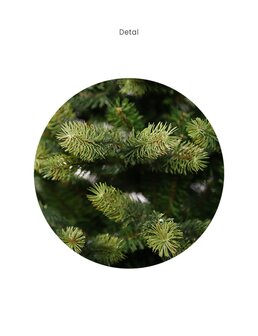 Legato - Kunstkerstboom - 210 cm - mix PE gegoten takken - Natuurlijke uitstraling - Brandcertificaat