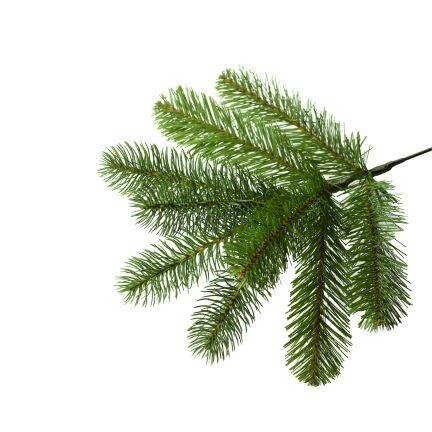 National Tree Company Bayberry - Kunstkerstboom - 213 cm - Leds - mix PE en PVC
