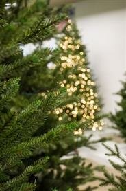 Our Nordic Christmas Arkansas - Kunstkerstboom - 228 cm - donkergroen - houten voet