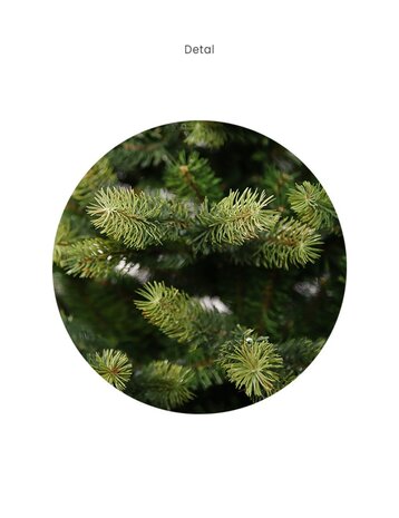 Legato - Kunstkerstboom - 210 cm - mix PE gegoten takken - Natuurlijke uitstraling - Brandcertificaat