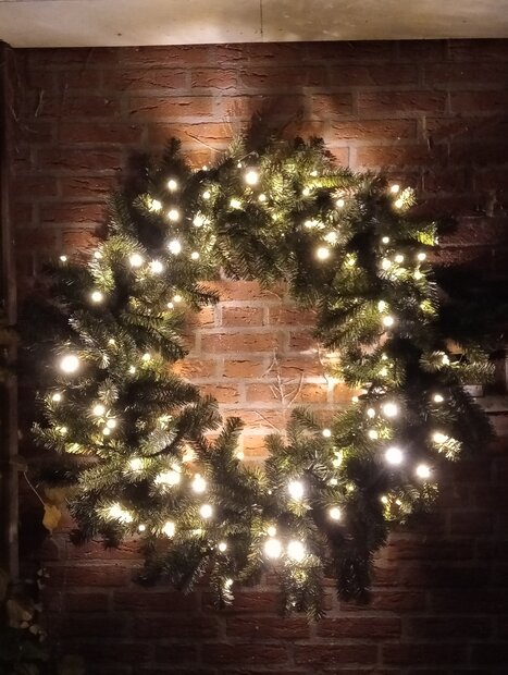 Florida - Kerstkrans - 120 cm - 250 warm witte Professionele LED&#039;S