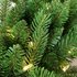 Kerstkrans Grande Fir - 91 cm - 150 warm witte leds_