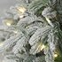 National Tree Company Andorra - Kunstkerstboom - 213 cm - Besneeuwd met LED_