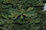 Our Nordic Christmas Vermont - Kunstkerstboom - 183 cm - Houten voet - Mix Pe met PVC_
