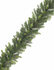 Legato mix PE - Guirlande - 30 cm x 180 cm - Luxe volle Kerstguirlande - Brandcertificaat